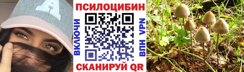 Псилоцибиновые грибы GOLDEN TEACHER  Краснослободск 