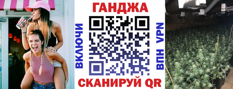 купить закладку  Краснослободск  МАРИХУАНА сатива 